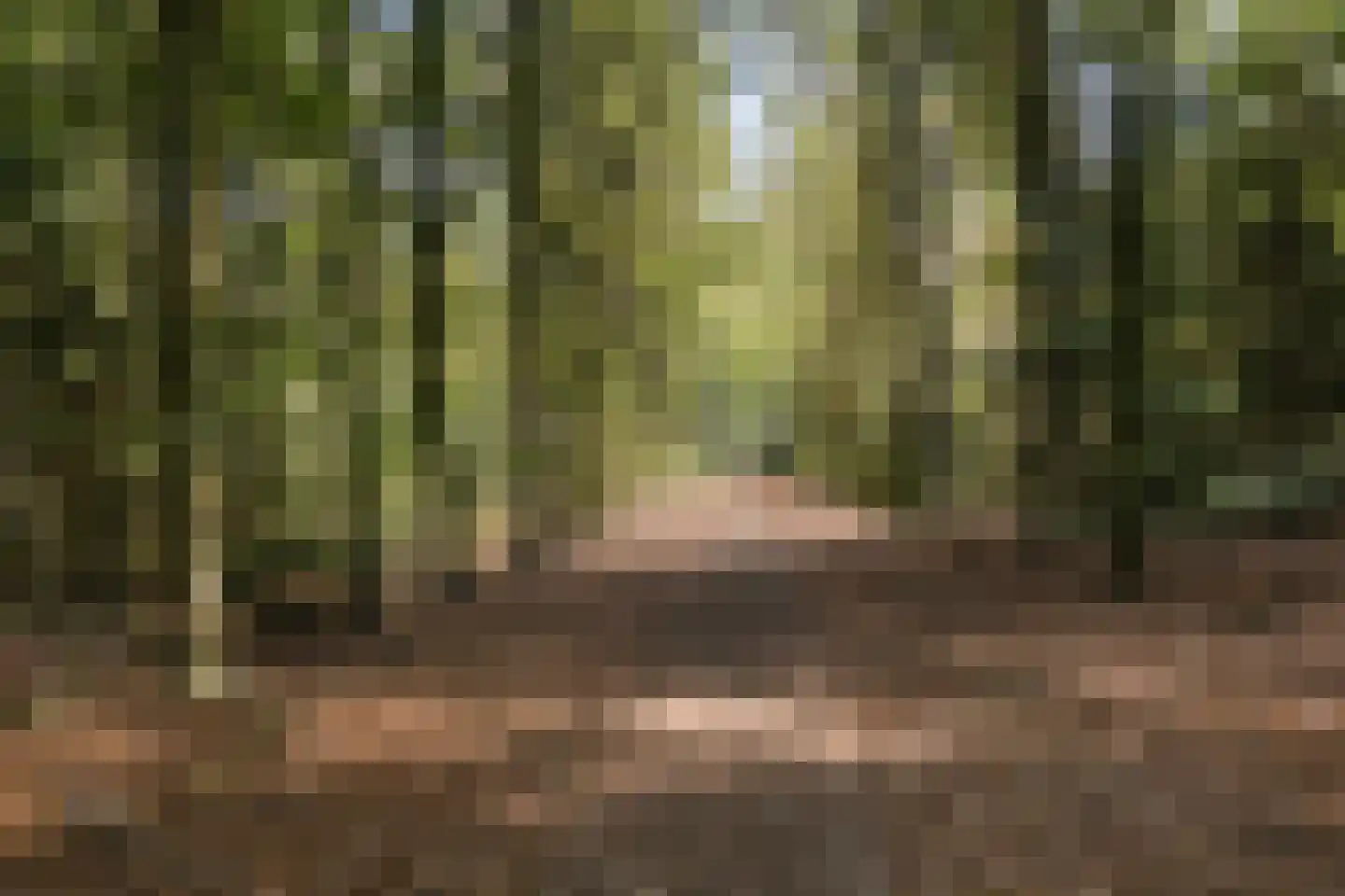 Rading 51 Hilversum thumbnail 31