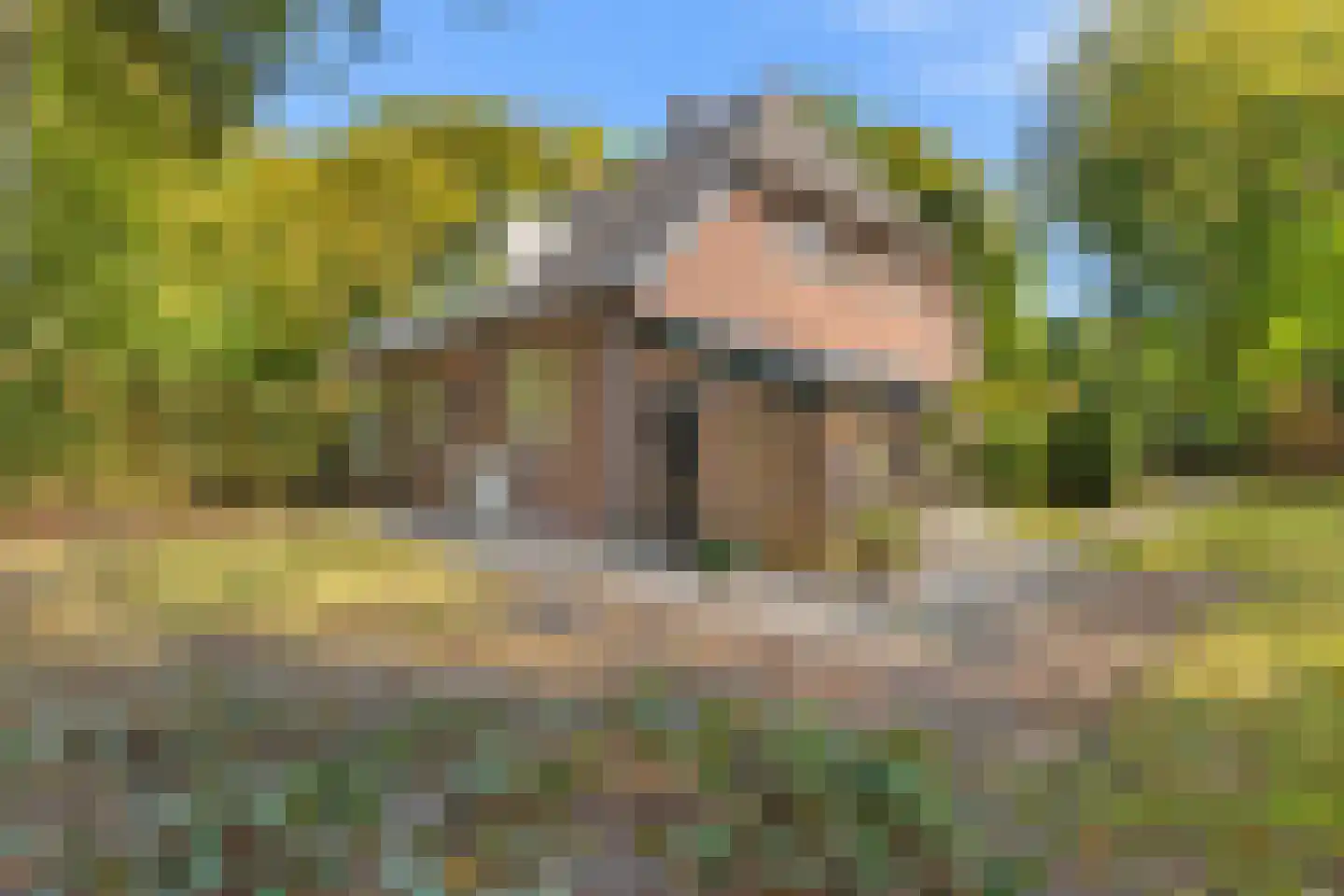 Rading 51 Hilversum thumbnail 5