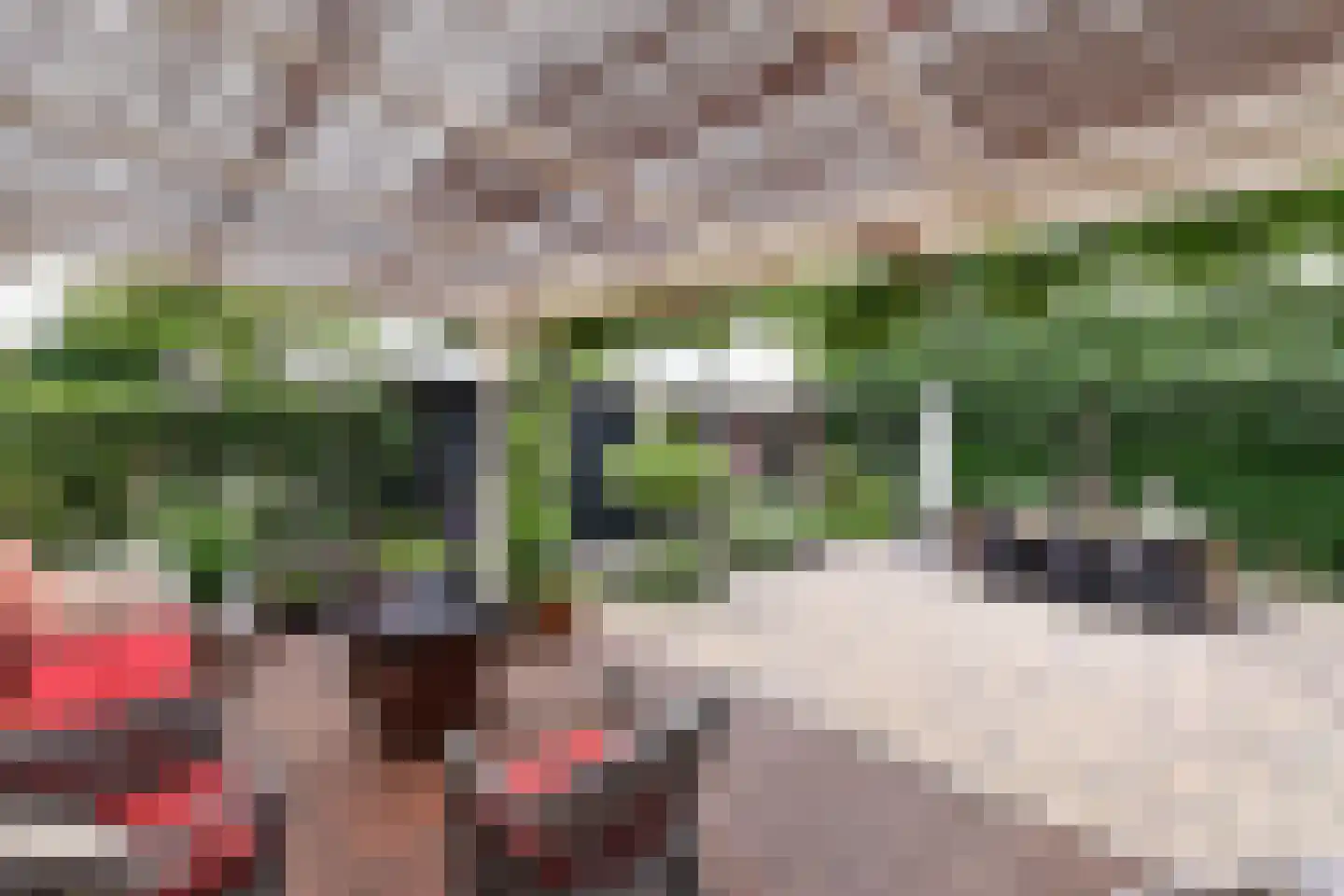 Rading 70 Loosdrecht thumbnail 21