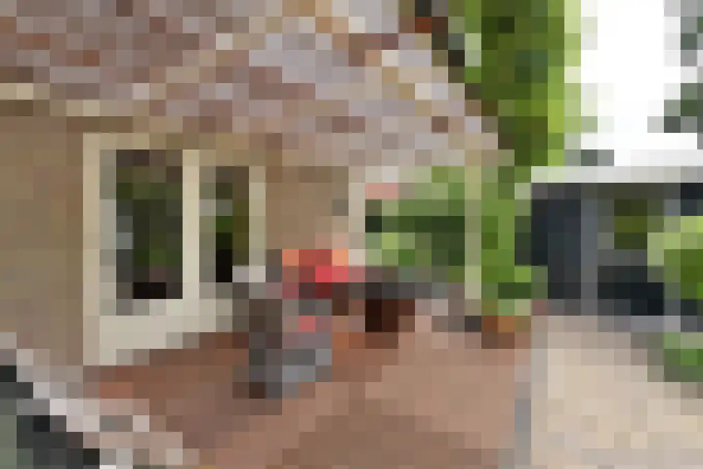 Rading 70 Loosdrecht thumbnail 22