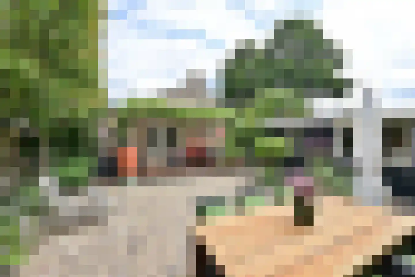 Rading 70 Loosdrecht thumbnail 23