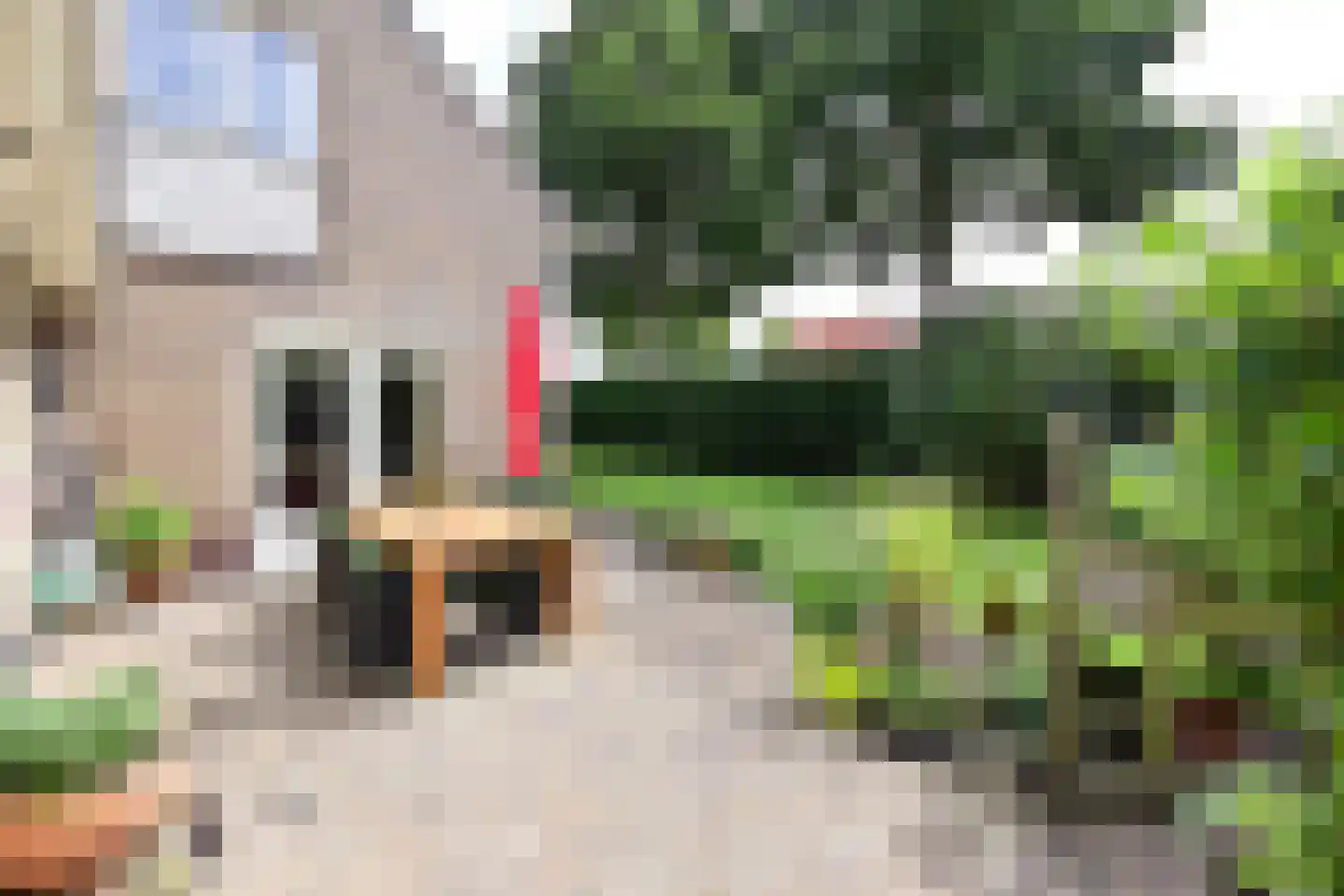 Rading 70 Loosdrecht thumbnail 24