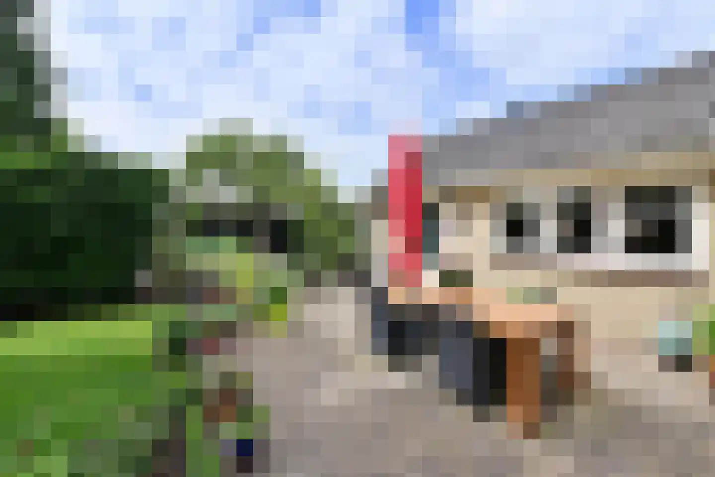 Rading 70 Loosdrecht thumbnail 25