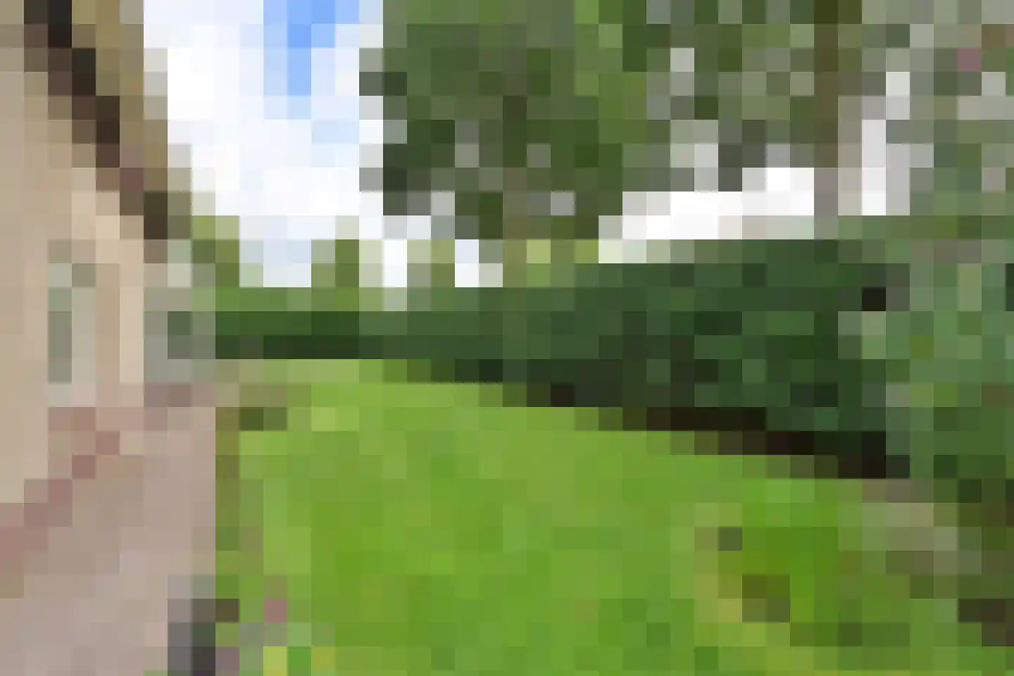 Rading 70 Loosdrecht thumbnail 27