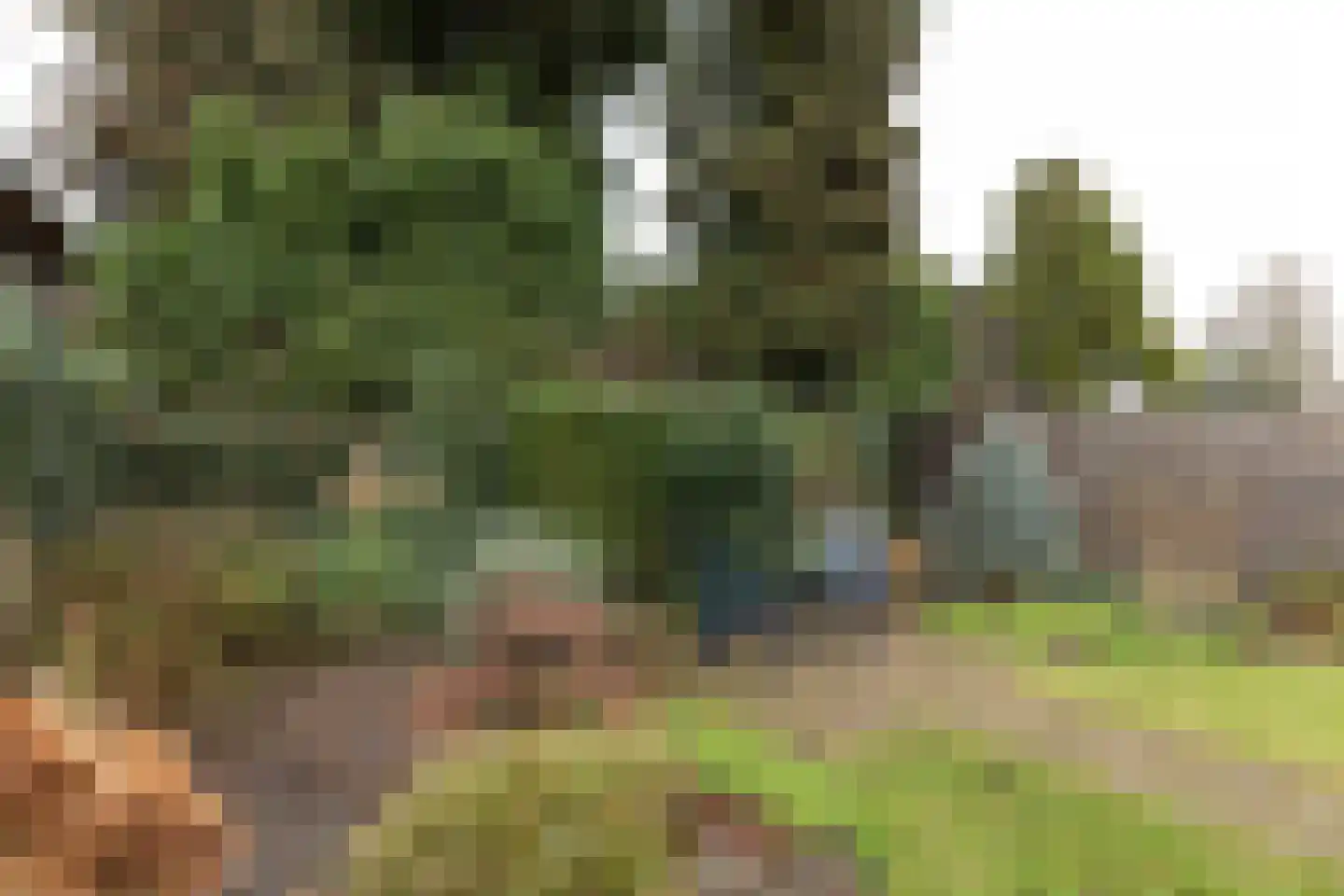 Rading 78 Loosdrecht thumbnail 31