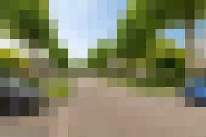 Radio Oranjelaan 10 Almere thumbnail 32