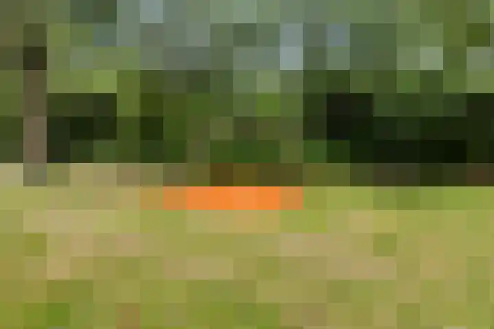 Radio Oranjelaan 10 Almere thumbnail 33