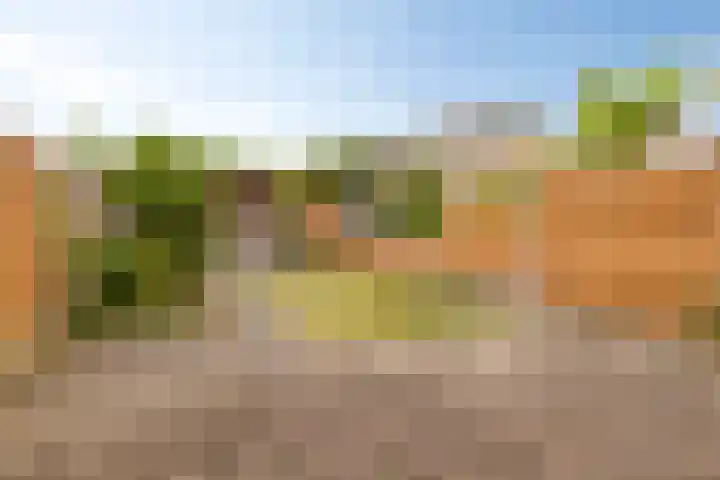 Radio Oranjelaan 10 Almere thumbnail 4