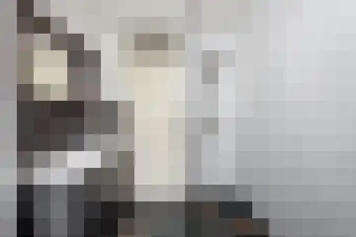 Radio Oranjelaan 21 Almere thumbnail 31