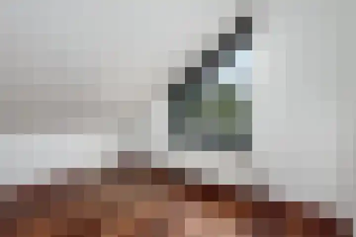 Radio Oranjelaan 21 Almere thumbnail 32
