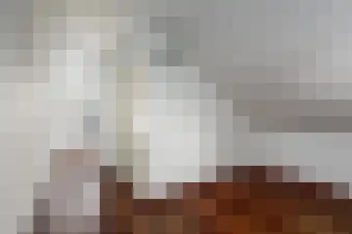 Radio Oranjelaan 21 Almere thumbnail 33