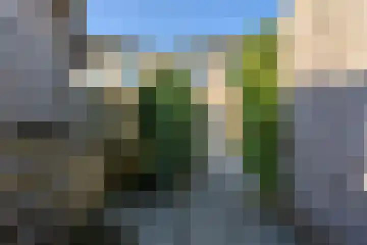 Radio Oranjelaan 21 Almere thumbnail 43