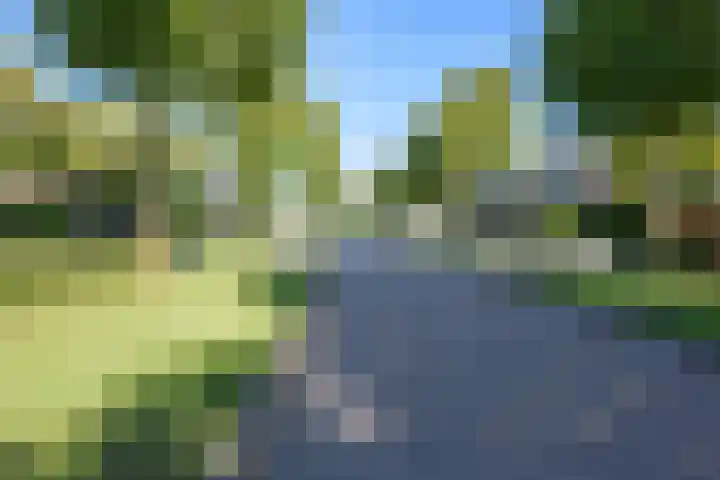 Radio Oranjelaan 21 Almere thumbnail 46
