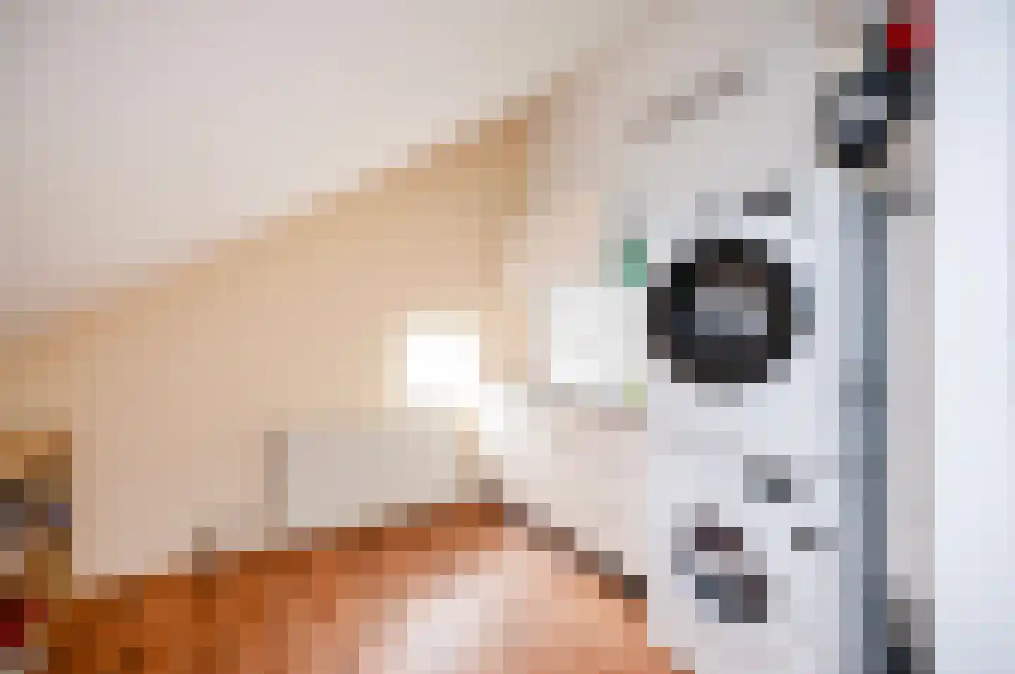 Radio Oranjelaan 3 Almere thumbnail 33