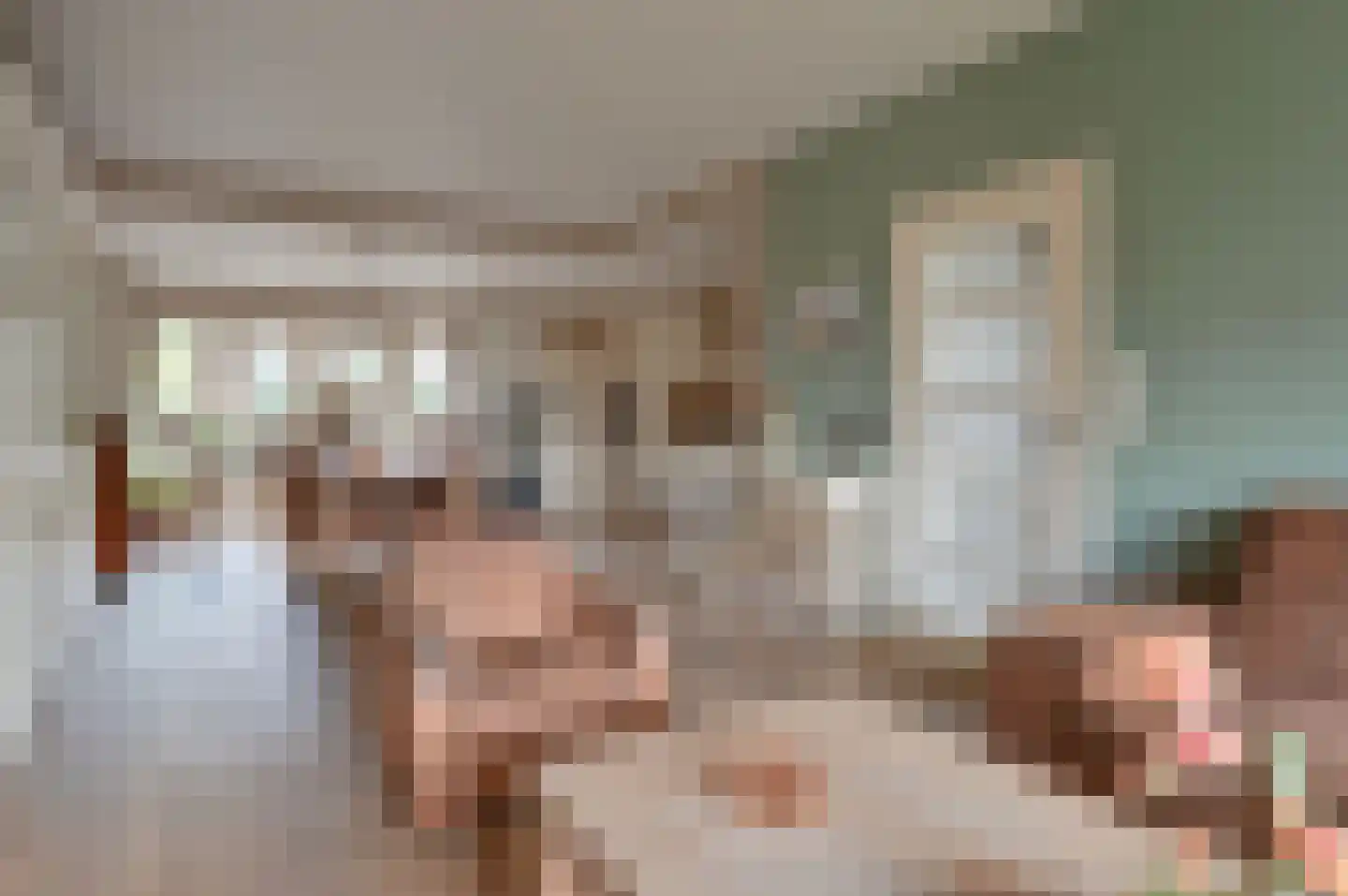 Radiolaan 37 Huizen thumbnail 5