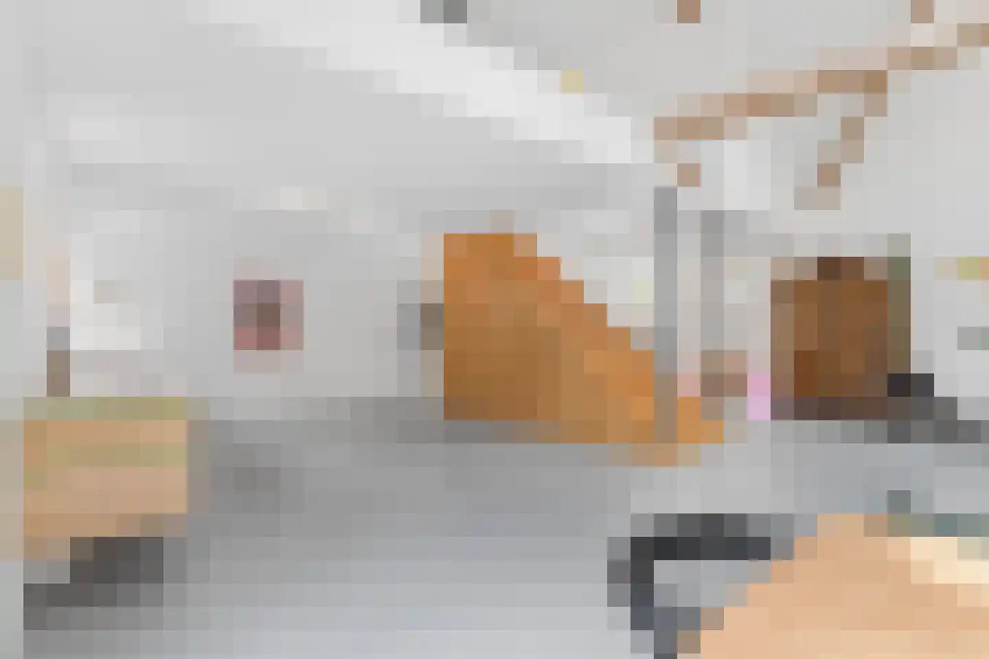 Radiopad 9 Arnhem thumbnail 13