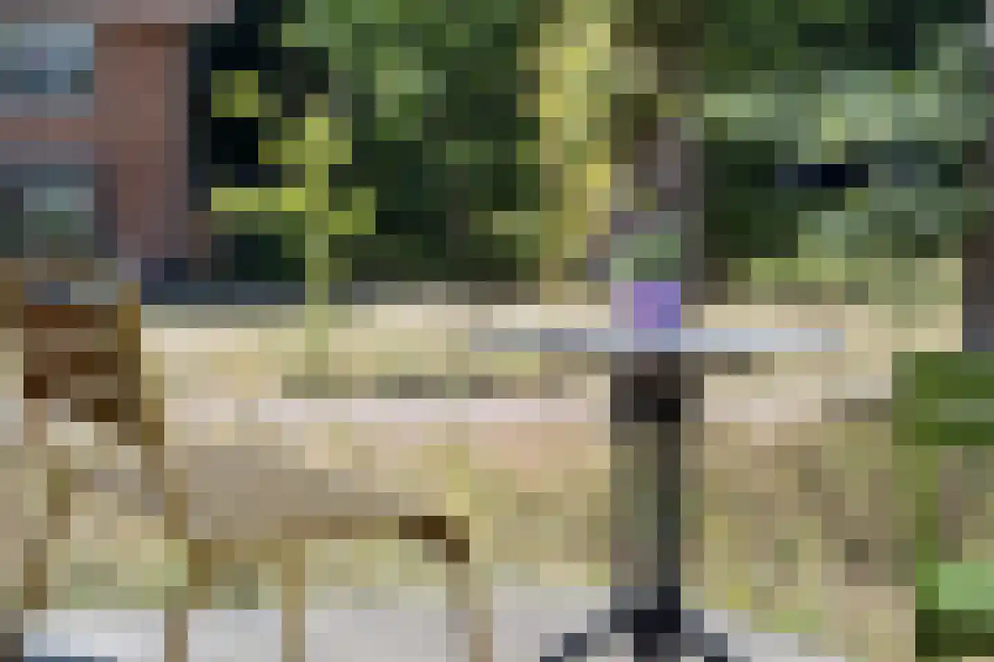 Radiopad 9 Arnhem thumbnail 22