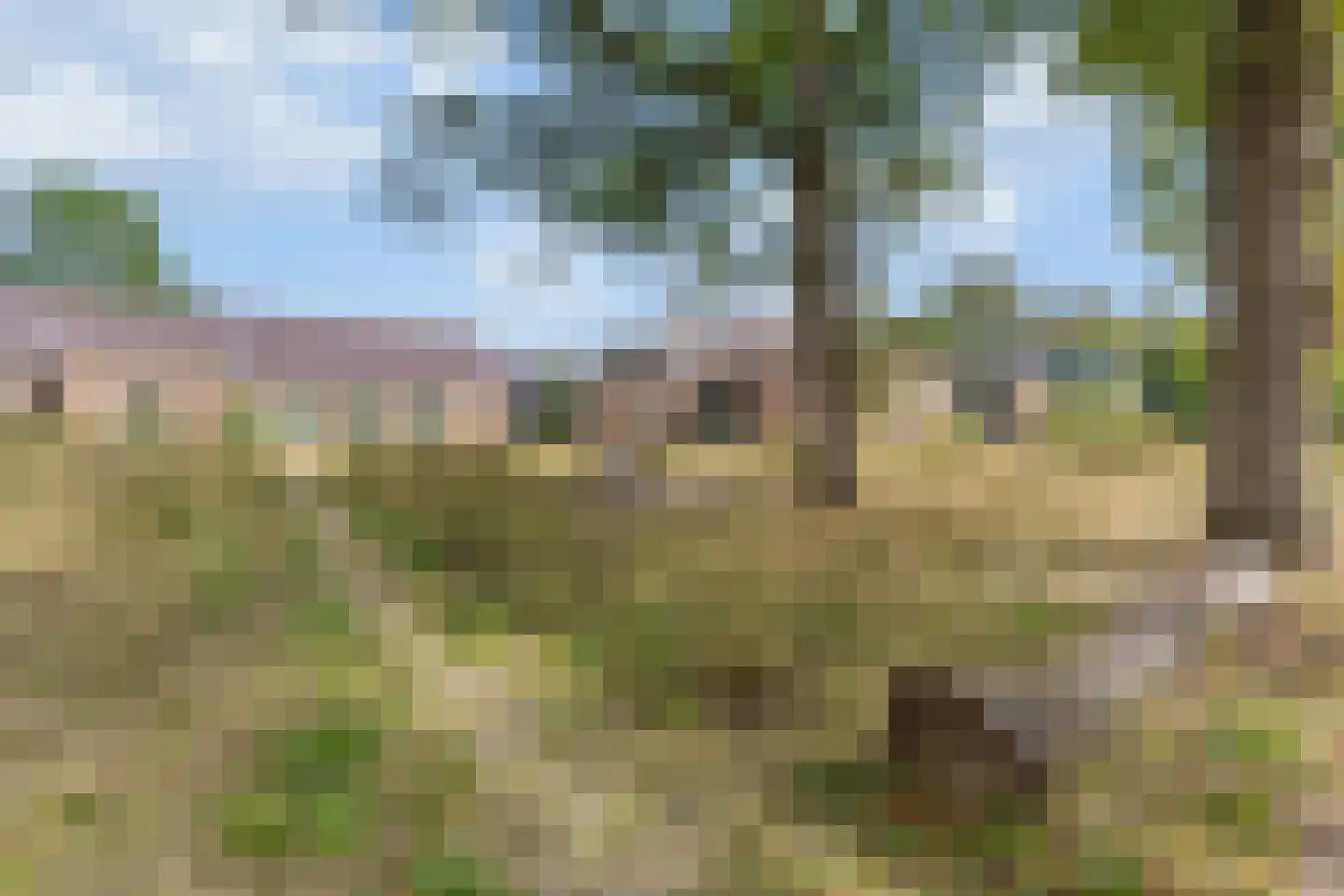 Radiopad 9 Arnhem thumbnail 58