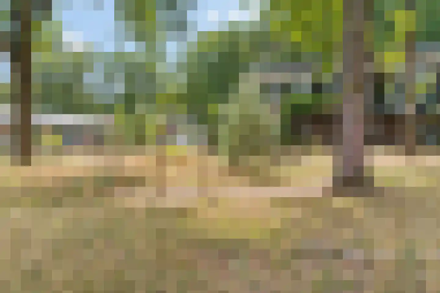 Radiopad 9 Arnhem thumbnail 60