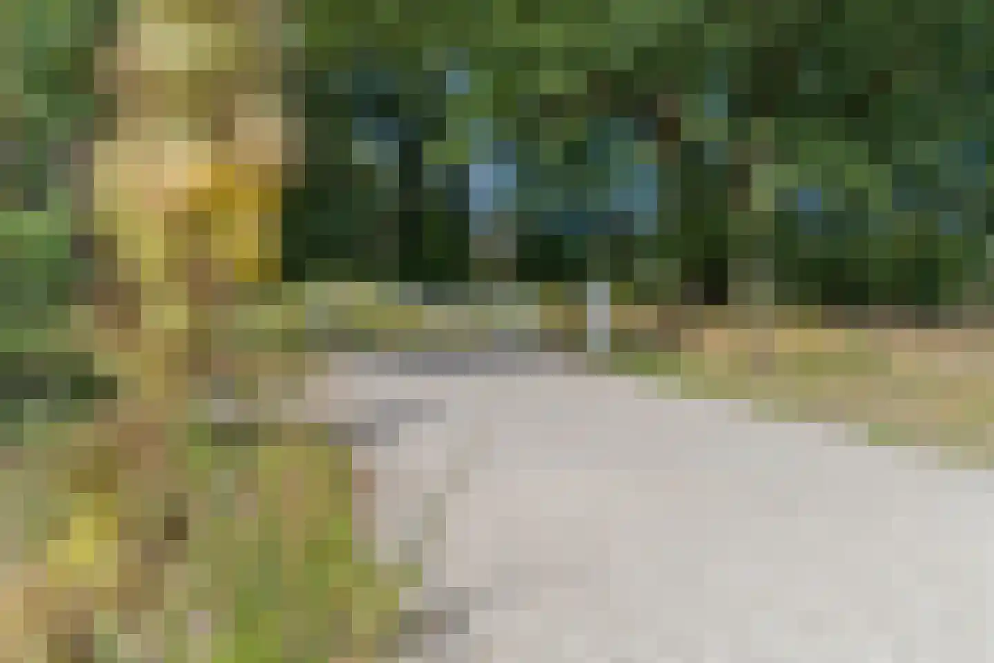 Radiopad 9 Arnhem thumbnail 62