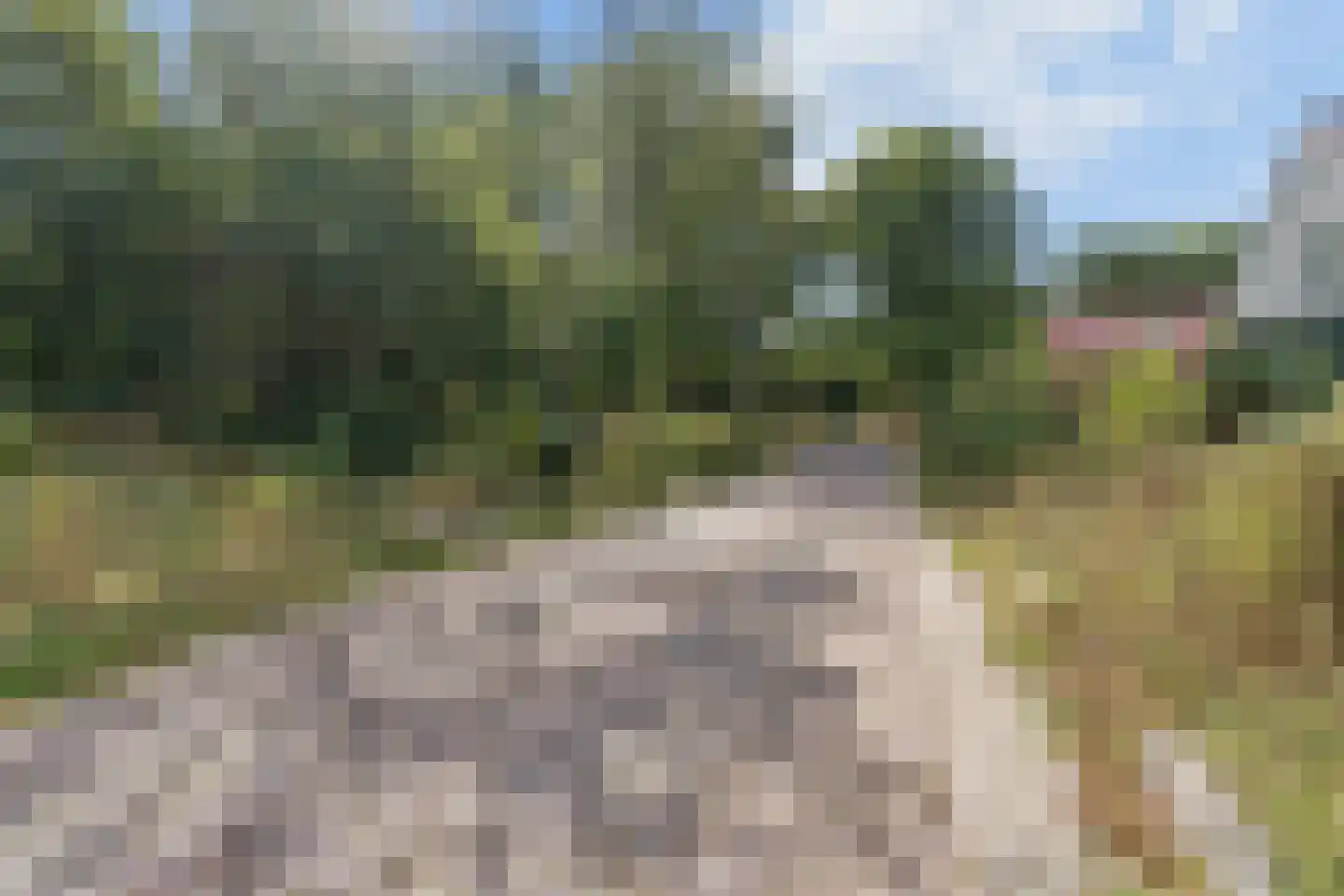 Radiopad 9 Arnhem thumbnail 63