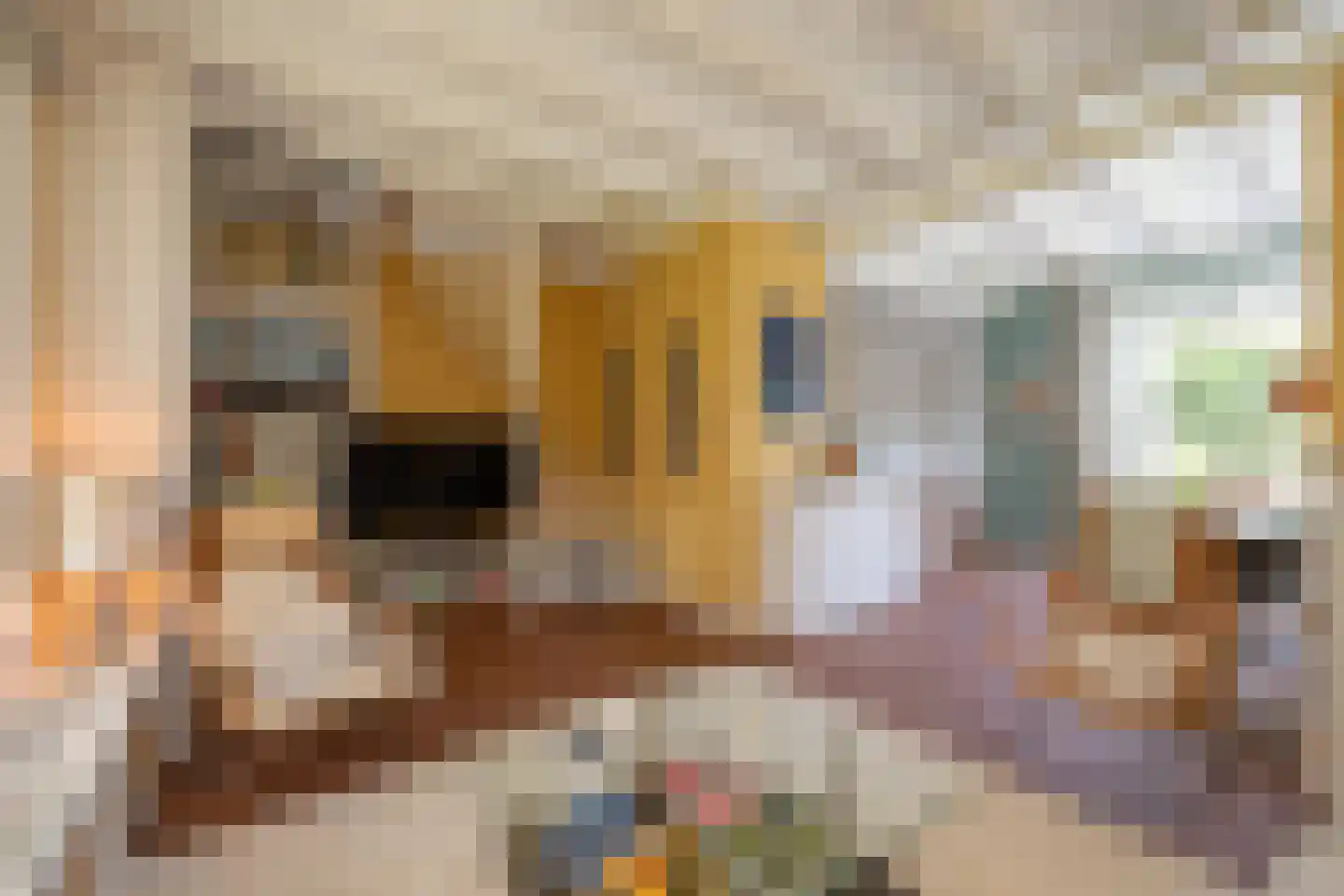 Radiostraat 1 Hilversum thumbnail 14
