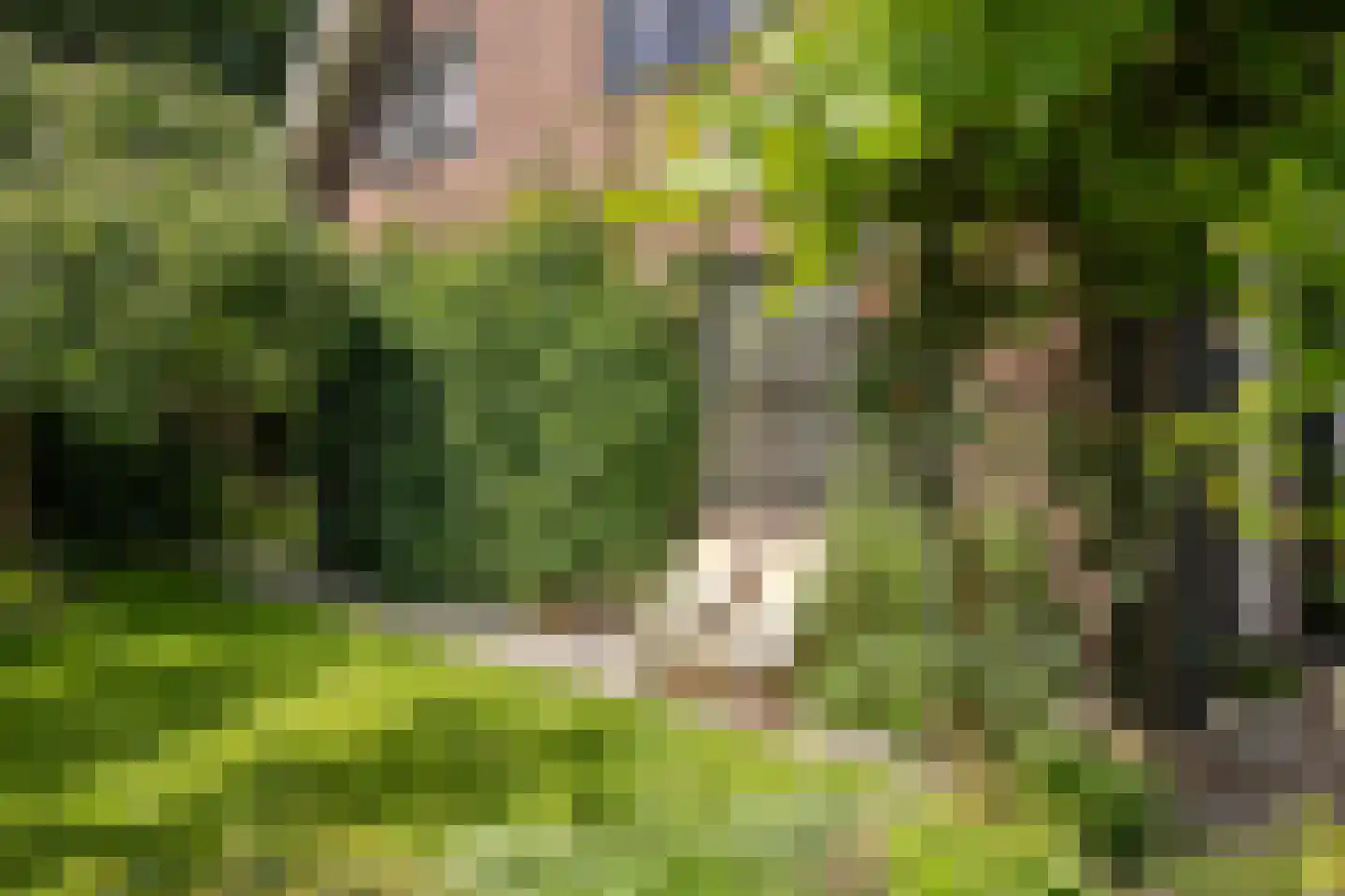 Radiostraat 1 Hilversum thumbnail 31