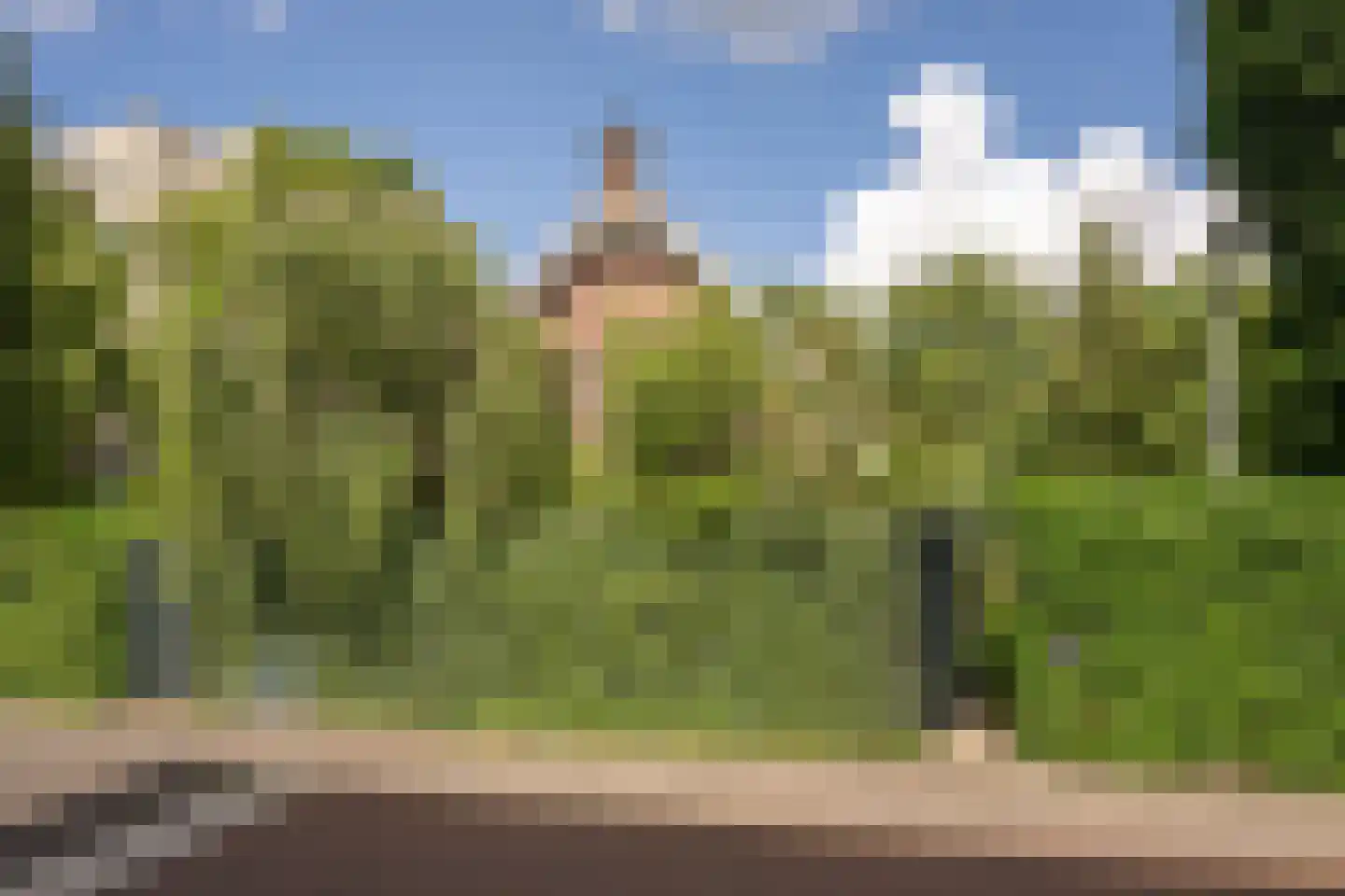 Radiostraat 1 Hilversum thumbnail 32