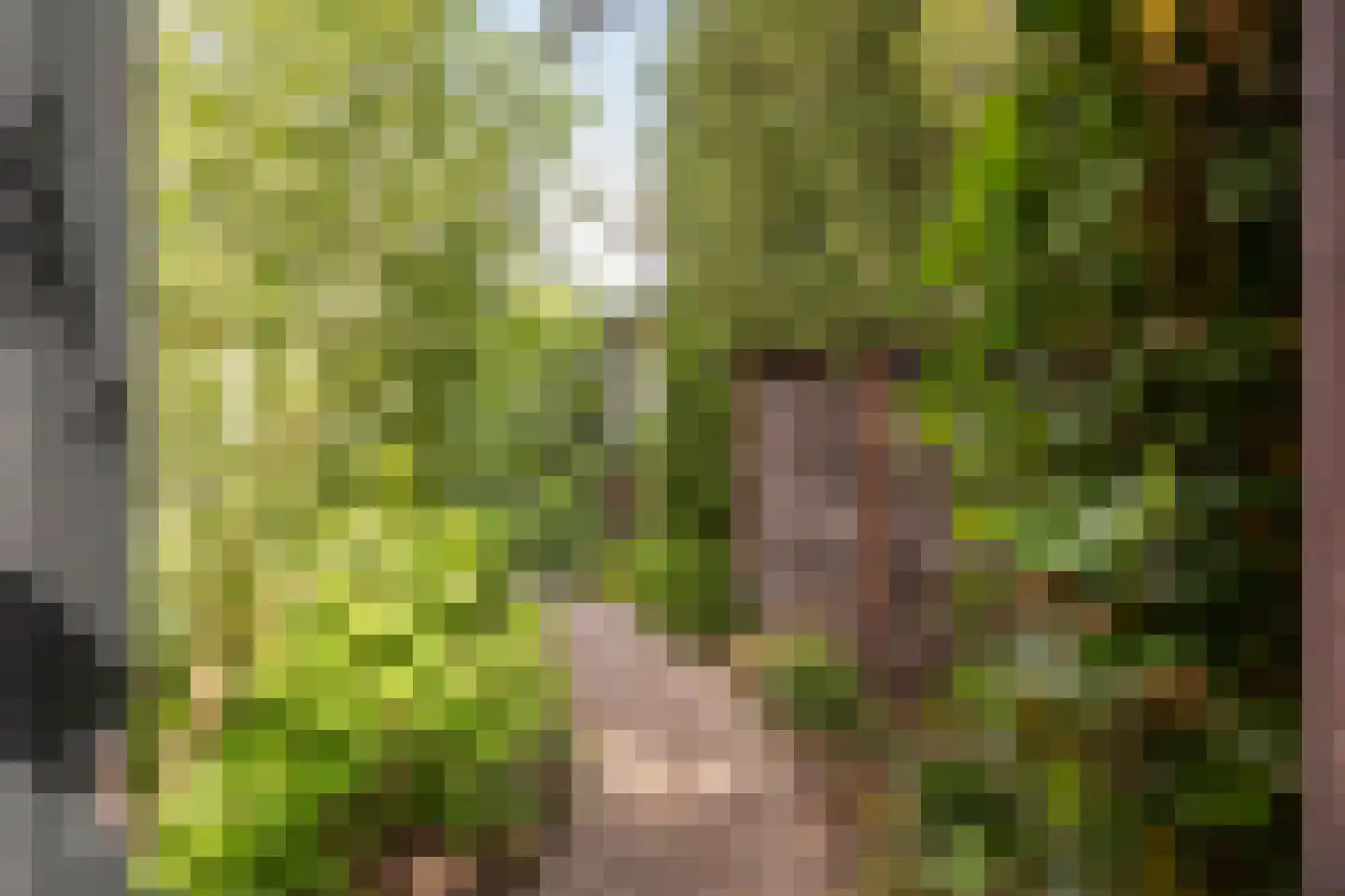 Radiostraat 1 Hilversum thumbnail 33