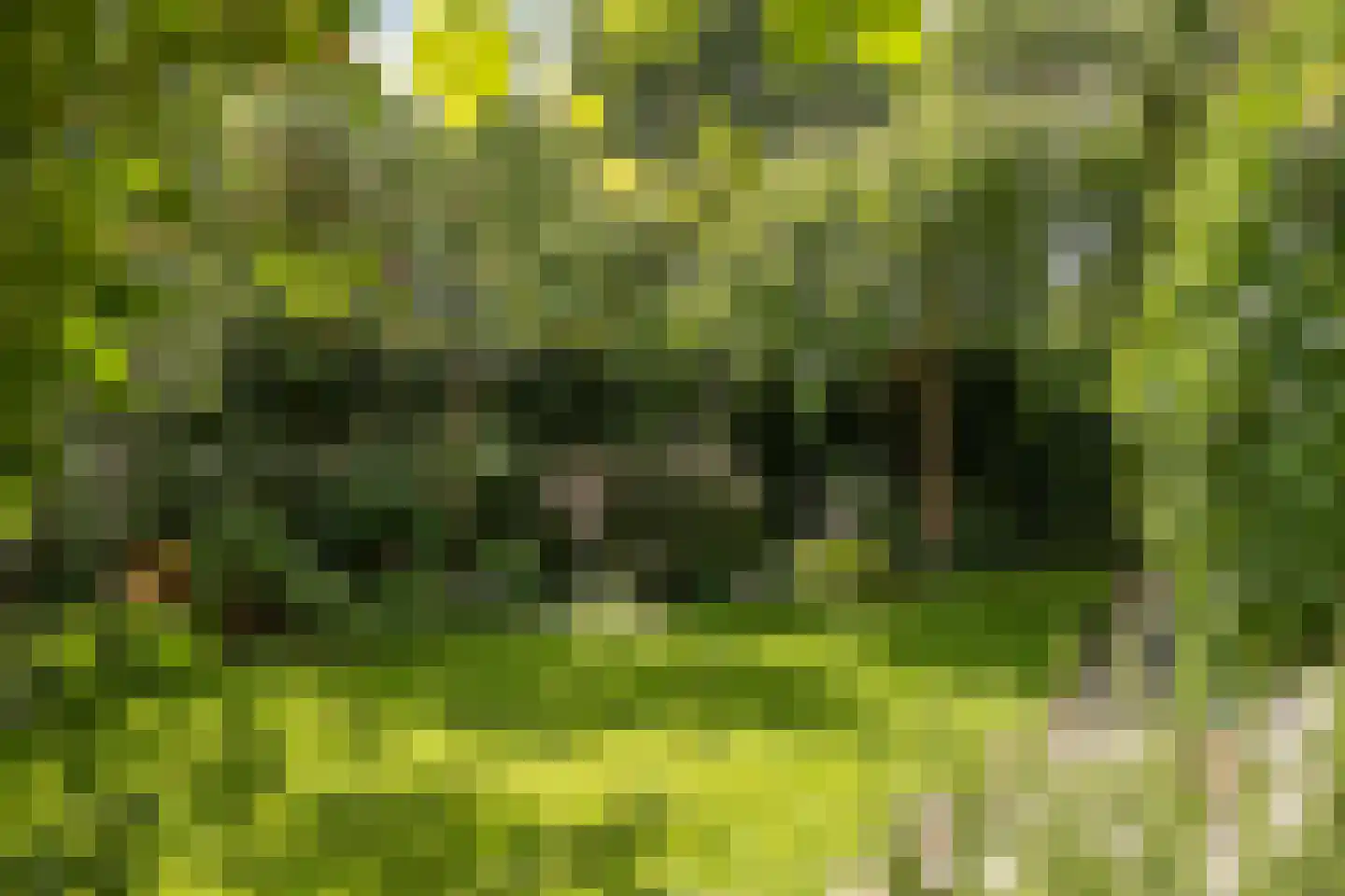 Radiostraat 1 Hilversum thumbnail 35