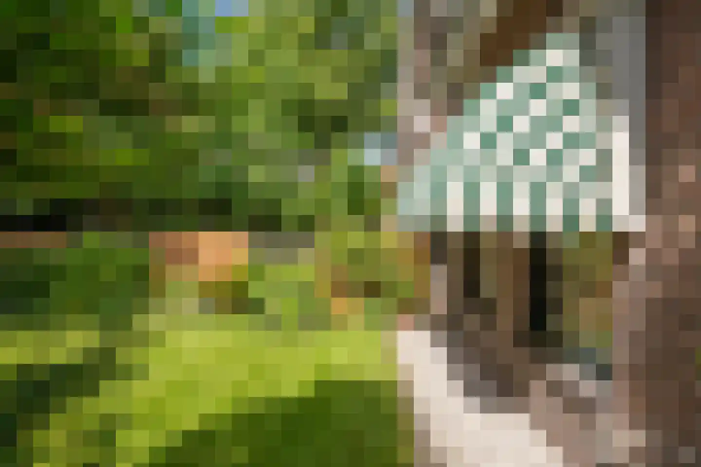 Radiostraat 1 Hilversum thumbnail 38