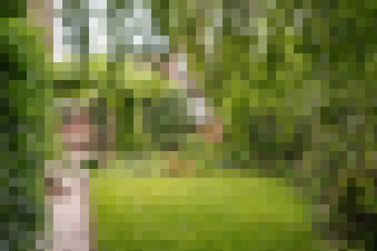 Radiostraat 1 Hilversum thumbnail 39