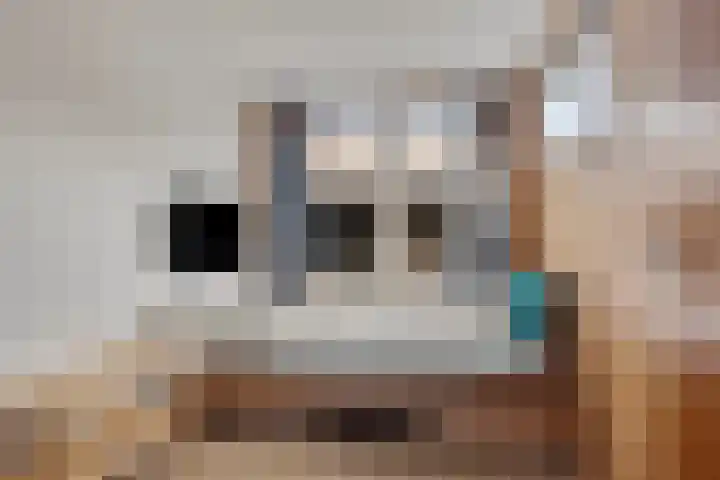 Radiostraat 2 Eindhoven thumbnail 28