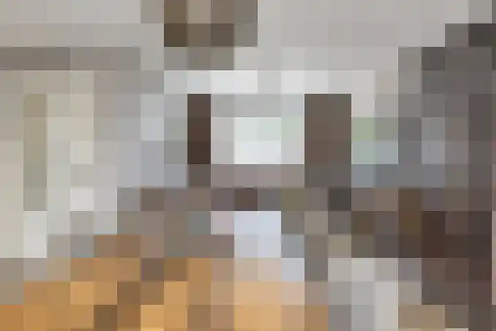 Radiostraat 4 Eindhoven thumbnail 11