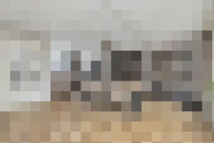 Radiostraat 4 Eindhoven thumbnail 16