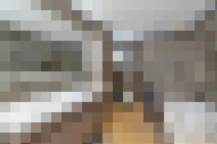Radiostraat 4 Eindhoven thumbnail 18