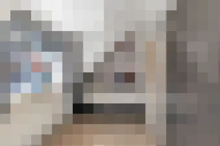 Radiostraat 4 Eindhoven thumbnail 24