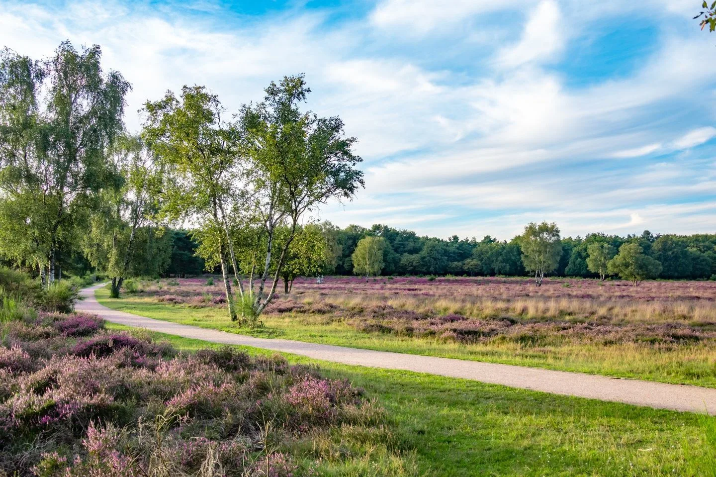 Radiostraat 65 Hilversum thumbnail 46