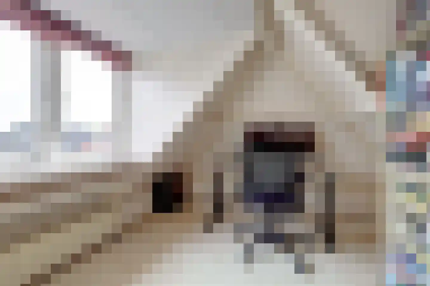 Radiostraat 68 Hilversum thumbnail 7