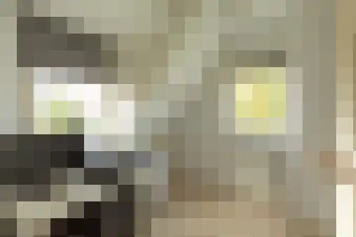Radiostraat 87 Hilversum thumbnail 21