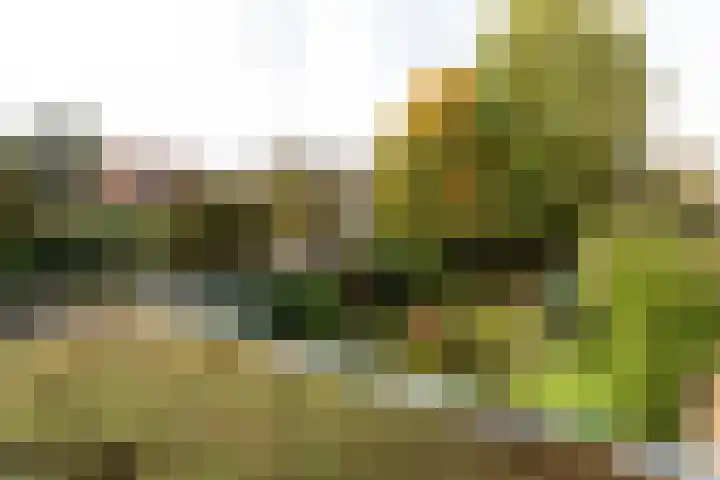 Radiostraat 87 Hilversum thumbnail 33