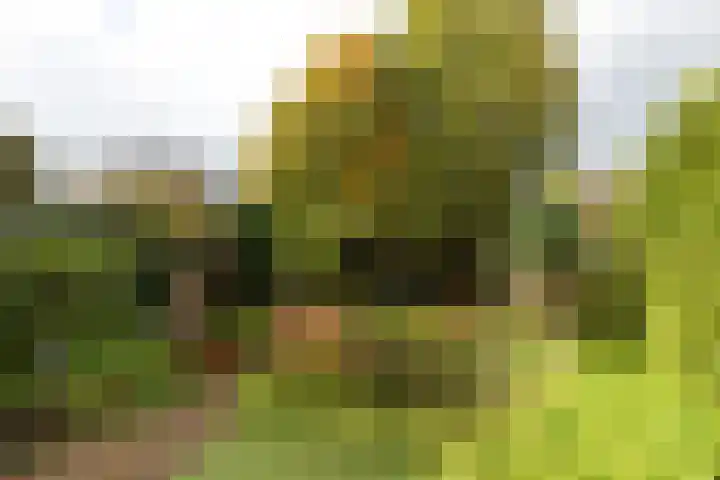 Radiostraat 87 Hilversum thumbnail 34