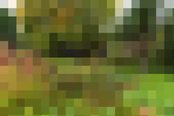 Radiostraat 87 Hilversum thumbnail 35