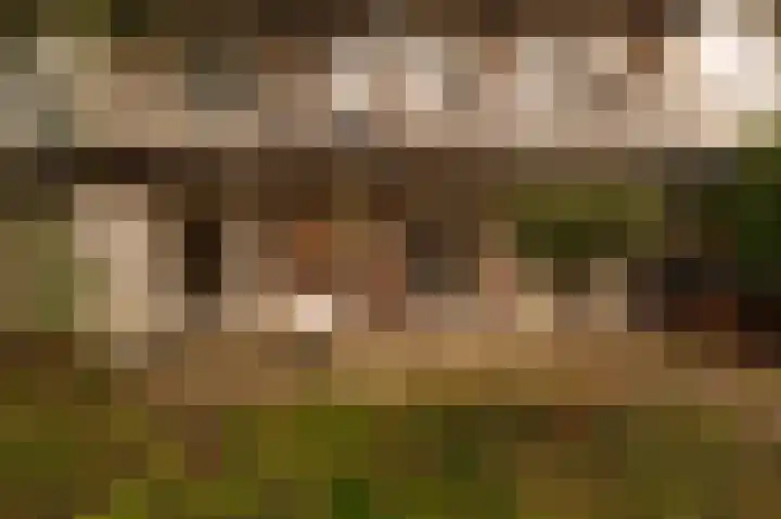 Radioweg 20 H Amsterdam thumbnail 21