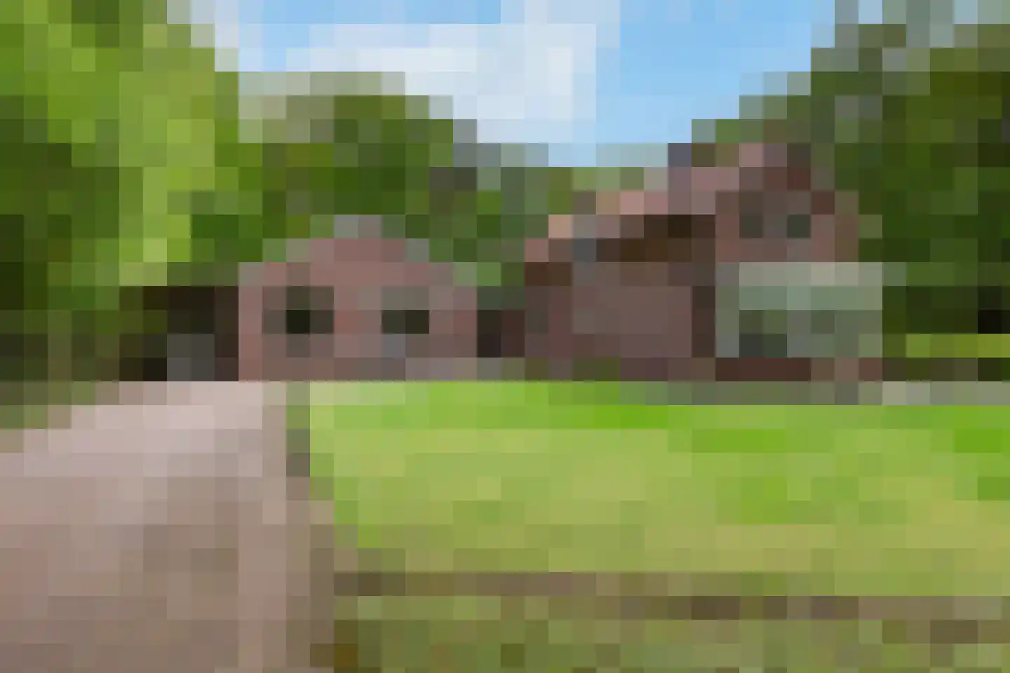 Radioweg 30 Harskamp thumbnail 39