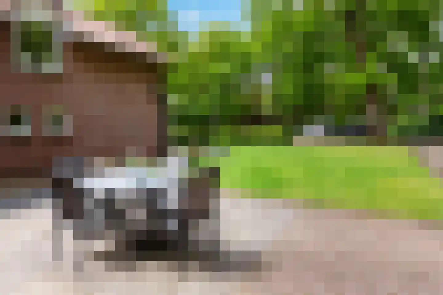 Radioweg 30 Harskamp thumbnail 41