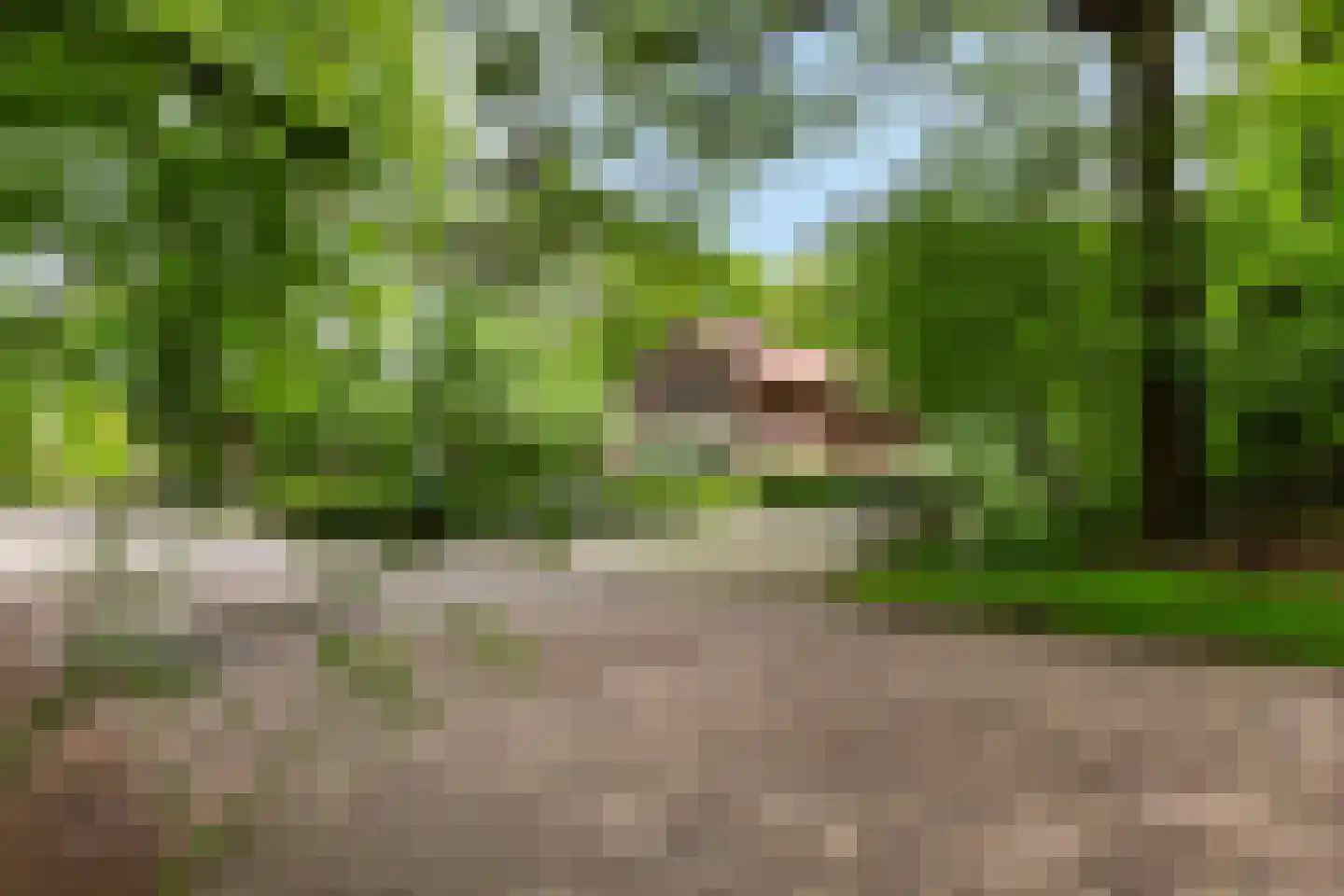 Radioweg 30 Harskamp thumbnail 45