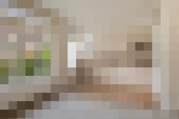 Radioweg 36 1 Amsterdam thumbnail 4