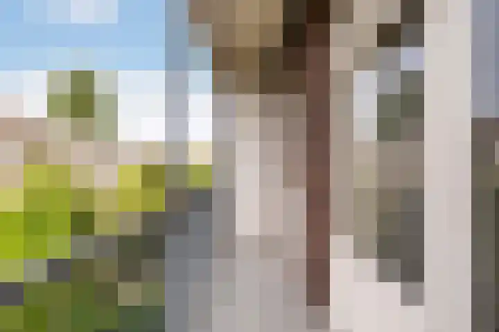 Radioweg 36 1 Amsterdam thumbnail 5