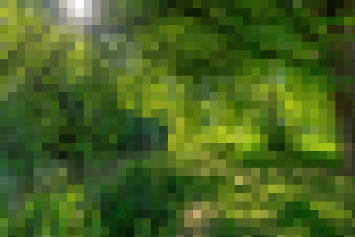 Radiumstraat 3 Groningen thumbnail 34